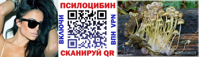 Галлюциногенные грибы Magic Shrooms  Купить где  Сысерть 